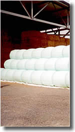 Silomais Rundballen 2